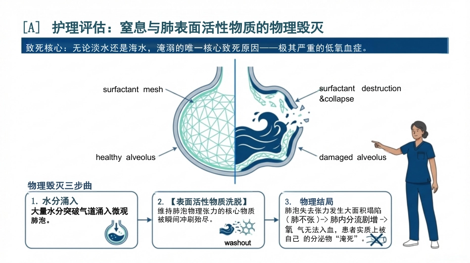 溺水急救护理查房_第5页