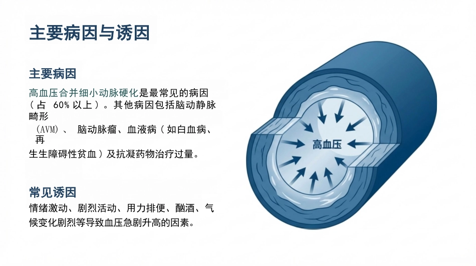 脑出血病人的护理查房_第4页