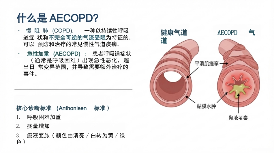 慢阻肺急性加重期护理查房_第3页