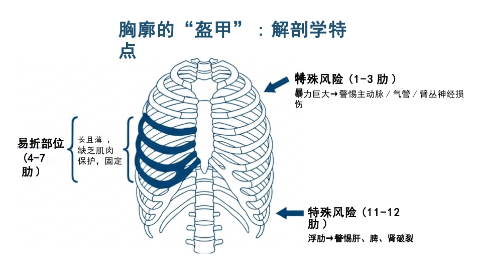 肋骨骨折的观察与护理_第3页