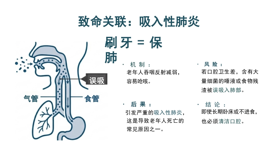 老年口腔健康活力指南_第13页