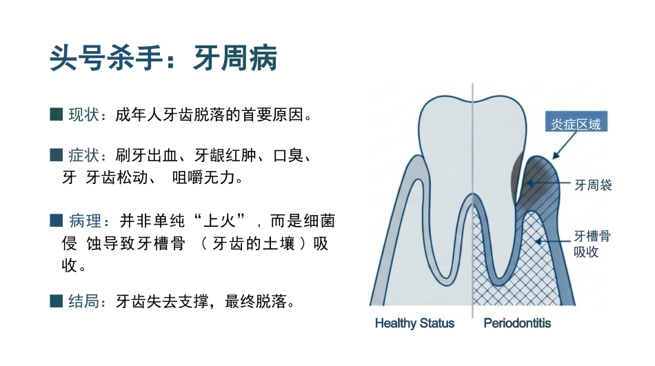 老年口腔健康活力指南_第7页