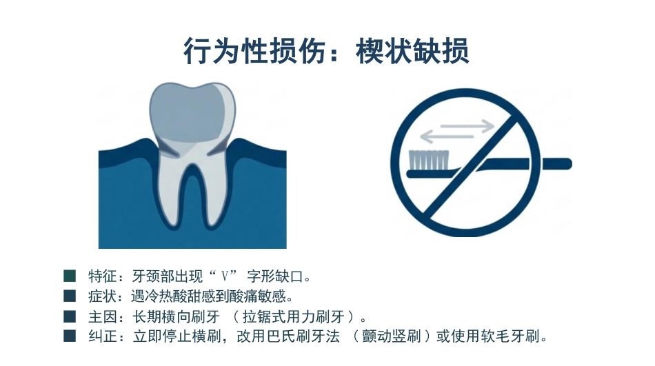 老年口腔健康活力指南_第9页