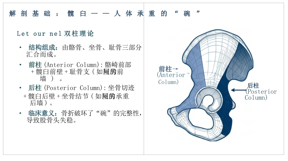 髋臼骨折护理查房_第3页