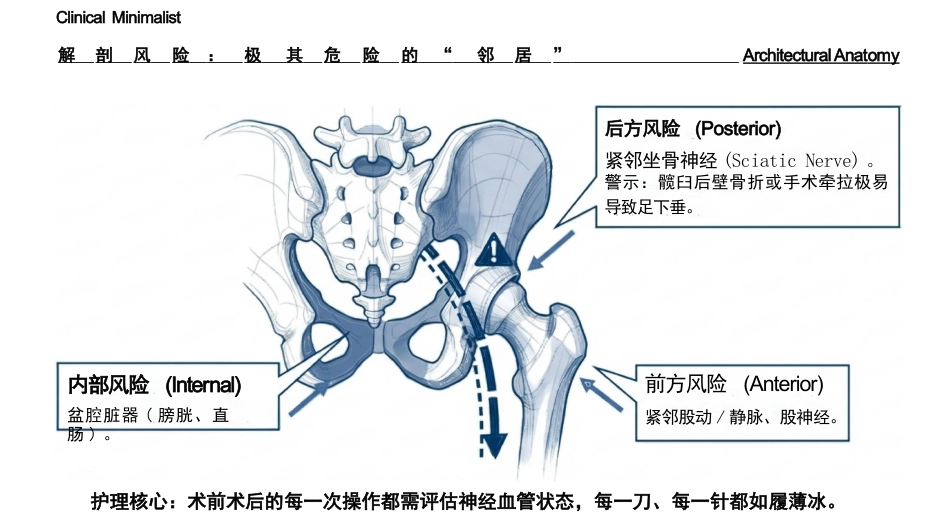 髋臼骨折护理查房_第4页