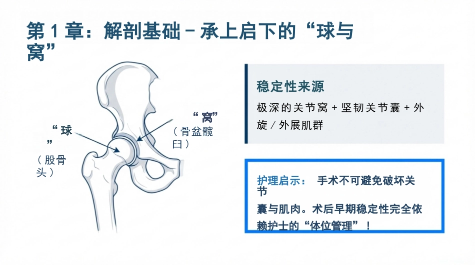 髋关节康复护理查房_第3页