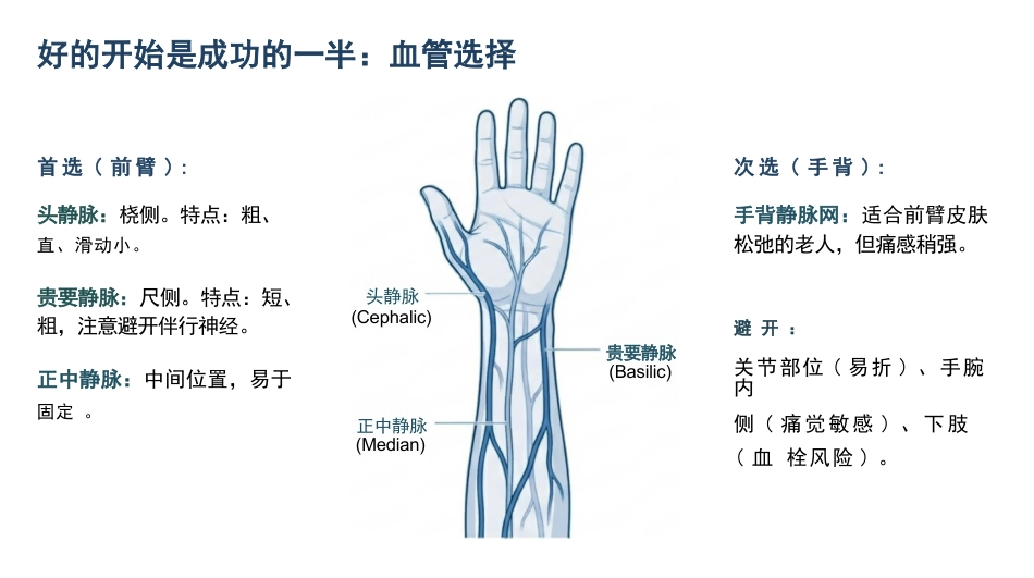 静脉穿刺高级实务精讲_第3页