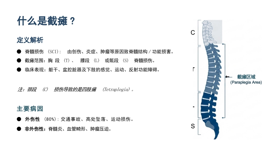 截瘫患者康复训练与护理_第2页