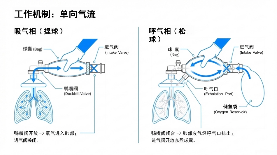简易呼吸器的使用与维护_第5页