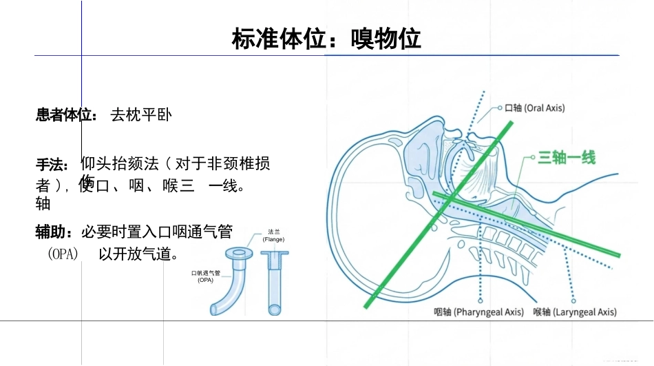 简易呼吸器的使用与维护_第9页