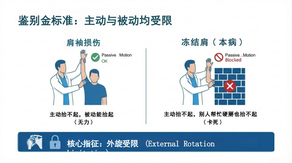 肩周炎康复护理查房_第6页