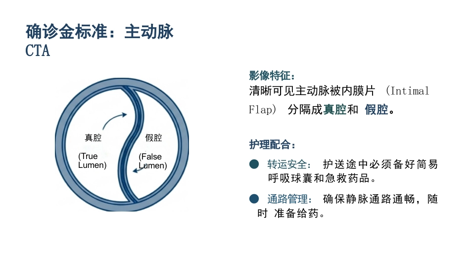 急性主动脉夹层护理查房_第10页