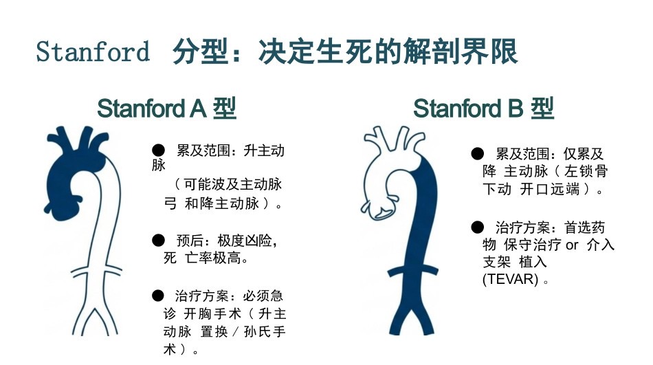 急性主动脉夹层护理查房_第4页