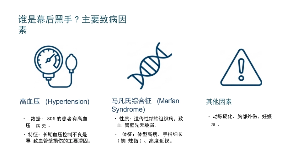 急性主动脉夹层护理查房_第5页