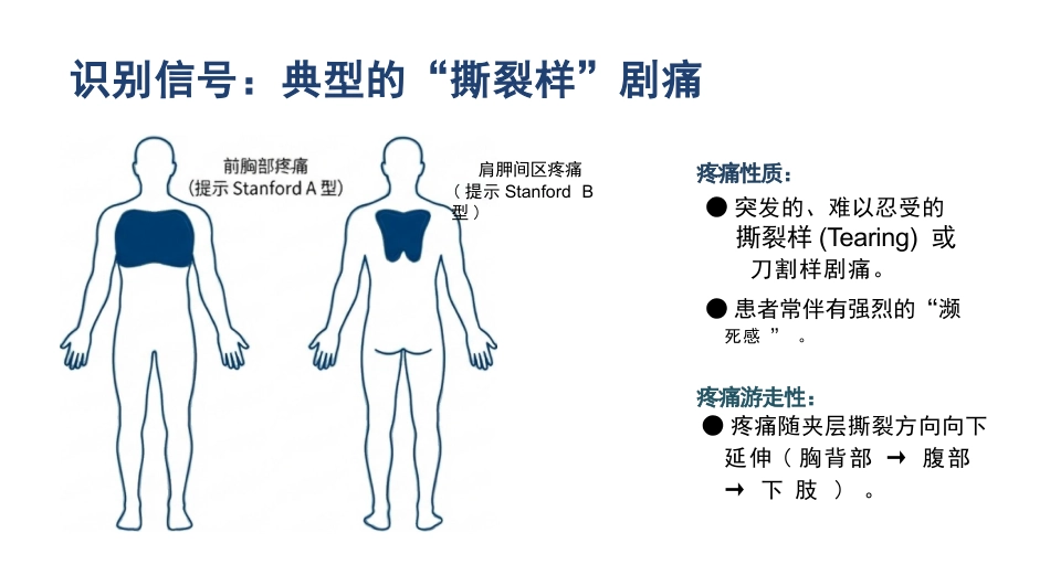 急性主动脉夹层护理查房_第7页