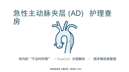 急性主动脉夹层护理查房