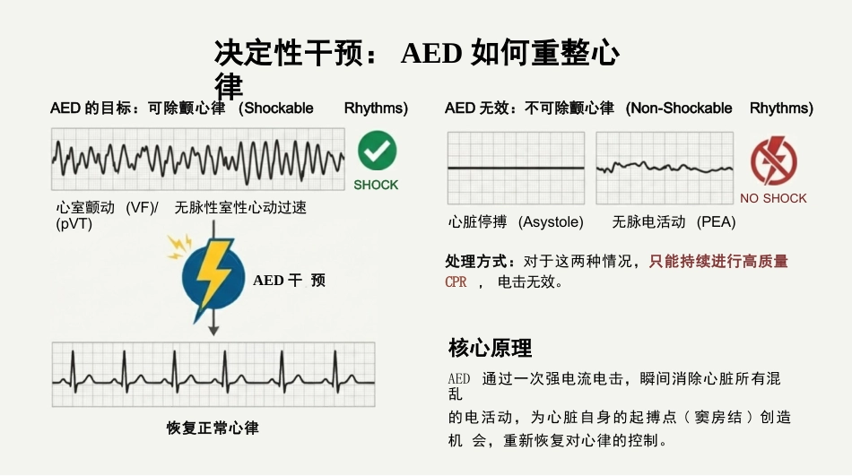 急诊医学心肺复苏_第13页