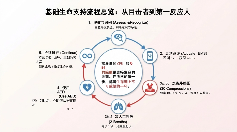 急诊医学心肺复苏_第14页