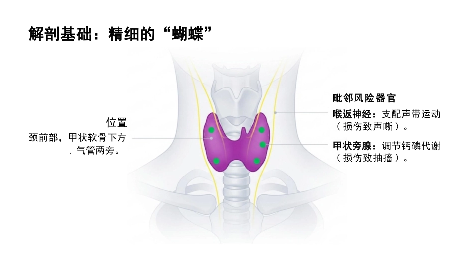 甲状腺护理查房_第4页