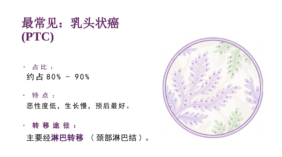 甲状腺护理查房_第5页