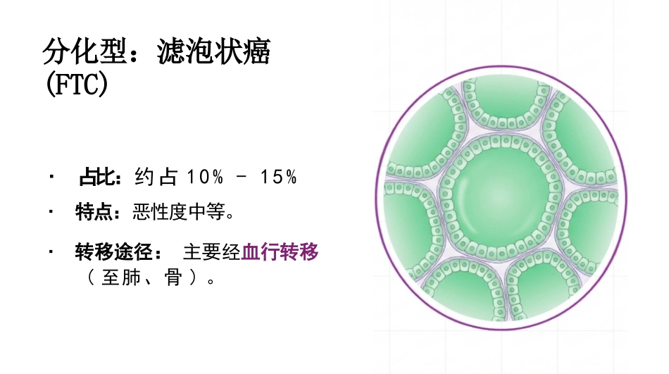 甲状腺护理查房_第6页
