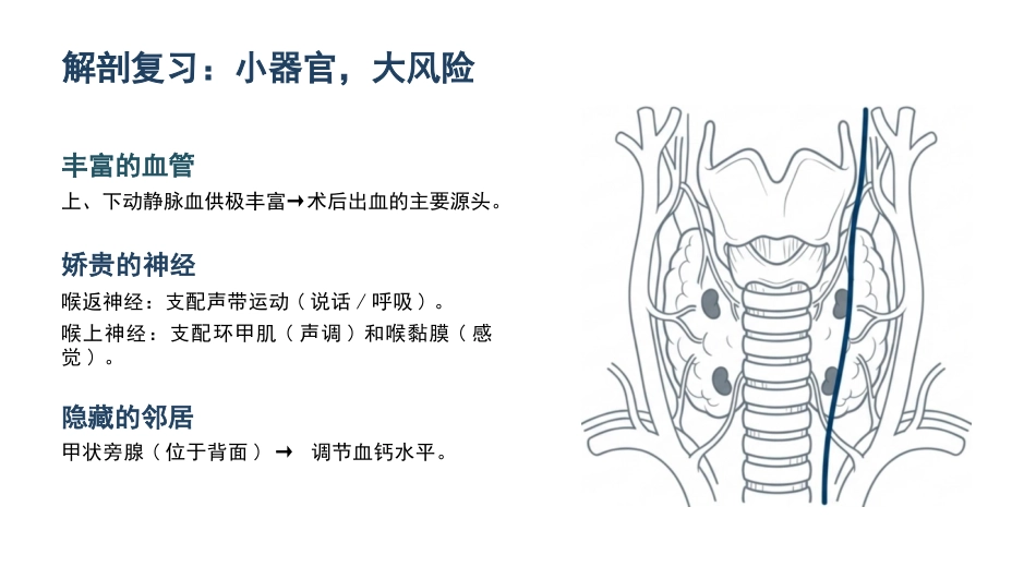 甲状腺切除术护理查房_第3页