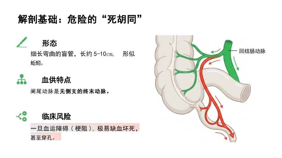 急性阑尾炎护理查房_第4页