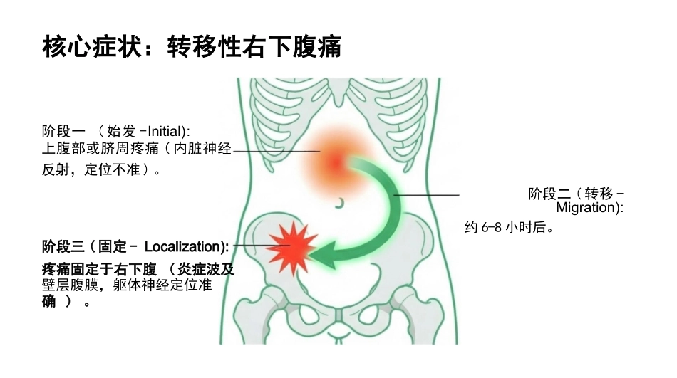 急性阑尾炎护理查房_第7页