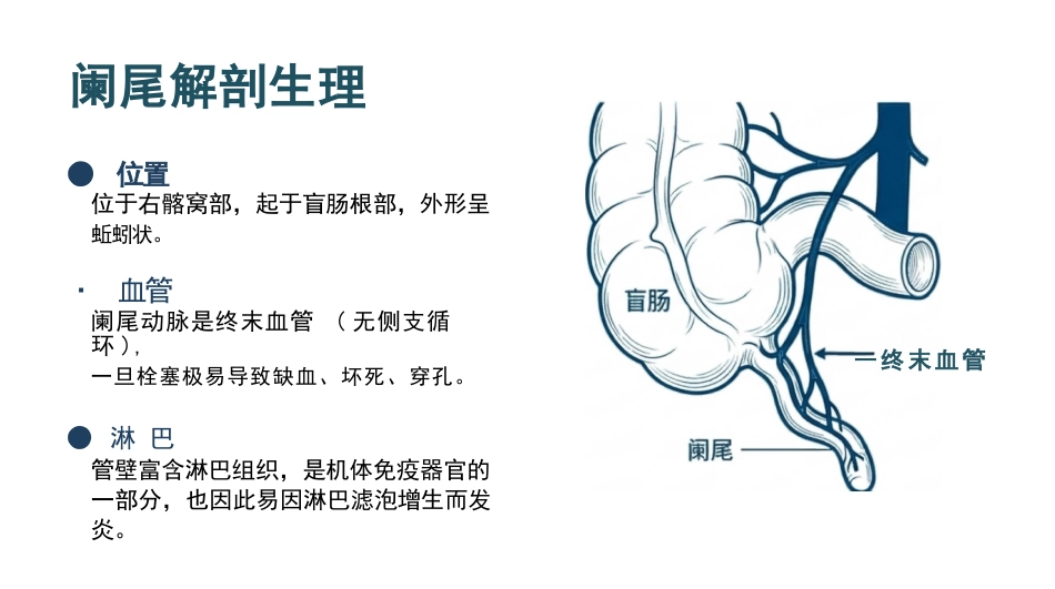 急性阑尾炎病人的护理_第3页