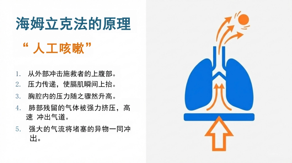 海姆利克急救法_第5页