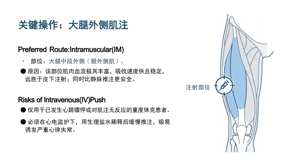 过敏性休克急救与护理SOP_第12页
