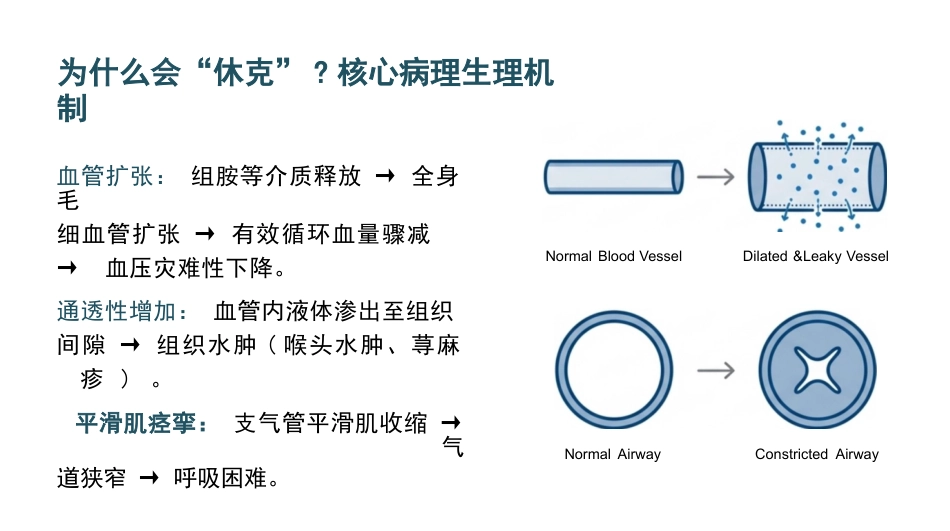 过敏性休克急救与护理SOP_第5页