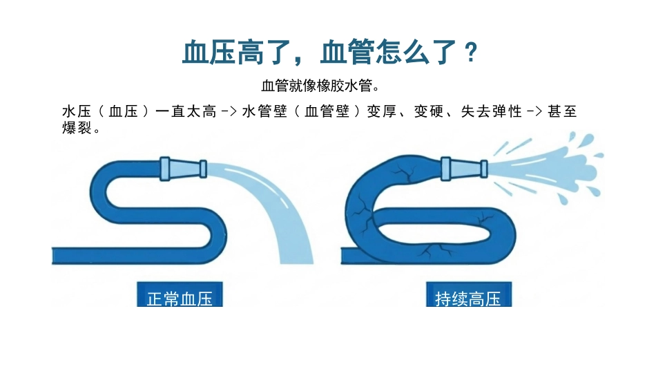 高血压健康宣教_第6页