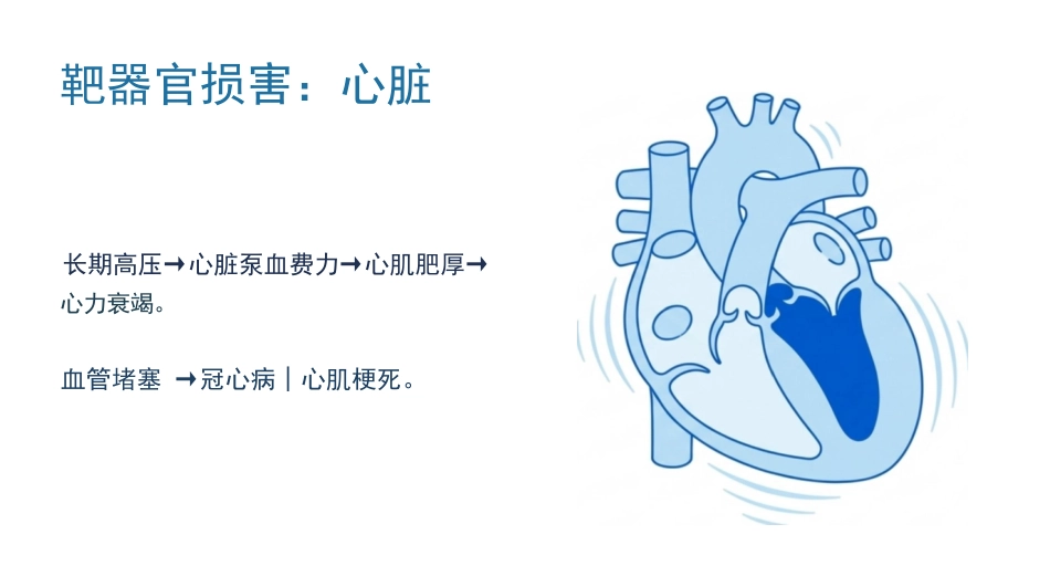 高血压健康宣教_第7页
