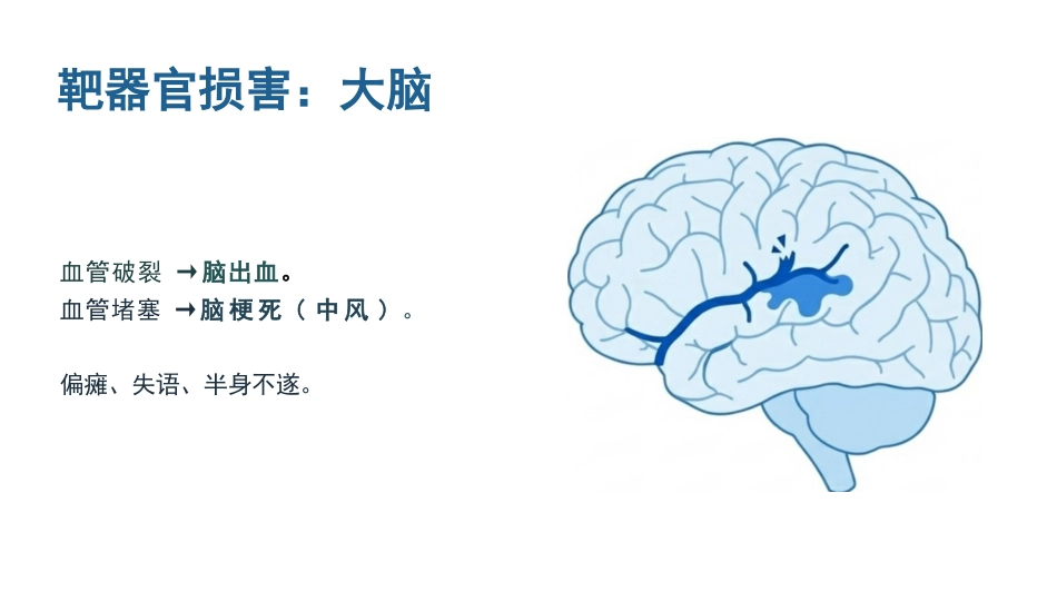 高血压健康宣教_第8页