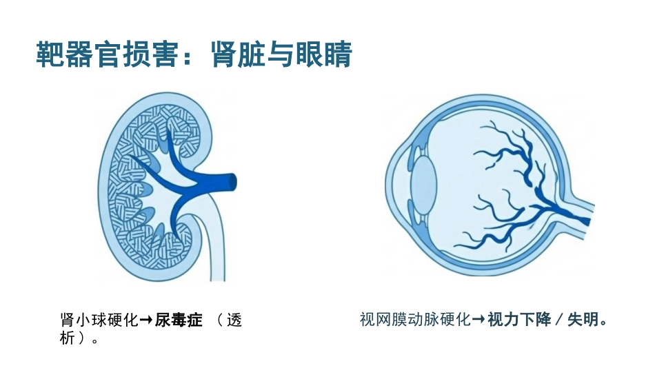 高血压健康宣教_第9页