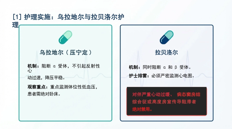 高血压急症护理查房_第13页