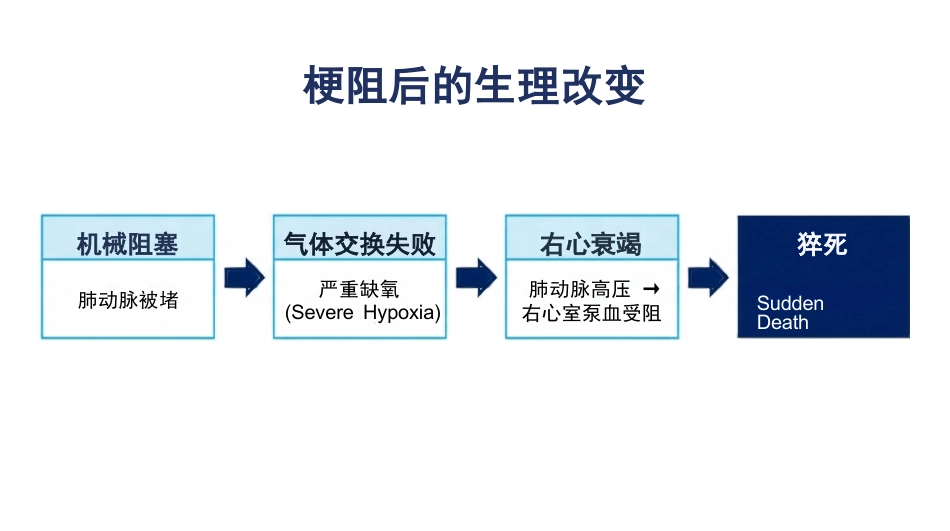 肺栓塞识别与急救策略_第6页