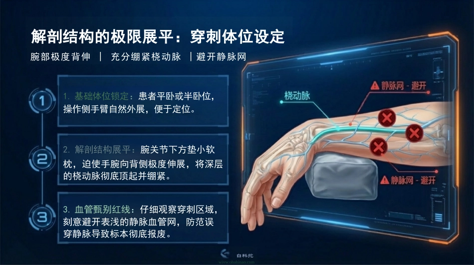 动脉血气精准采集SOP_第14页