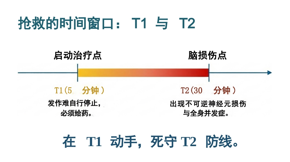 癫痫持续状态护理查房_第4页