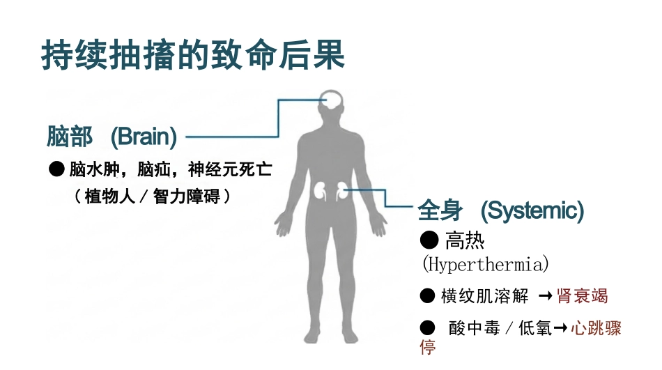 癫痫持续状态护理查房_第6页