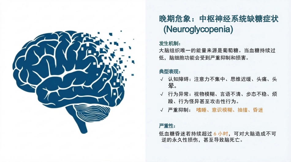低血糖的预防与急救_第9页