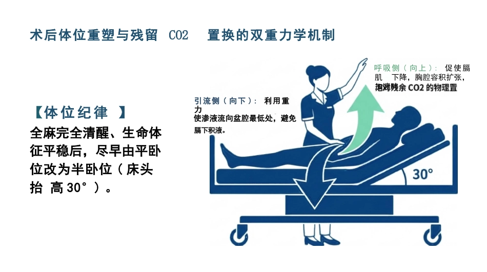 胆囊切除手术护理查房_第11页