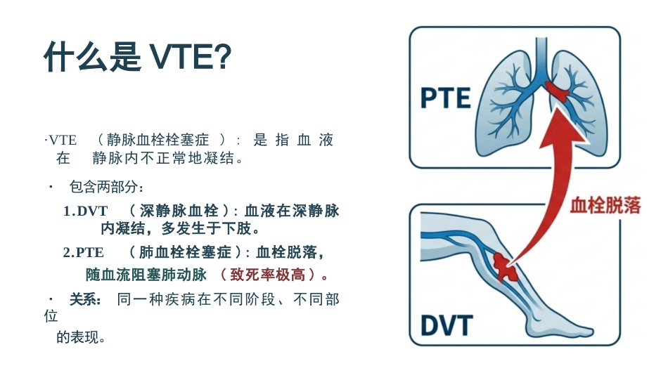 vte静脉血栓的预防与护理_第3页