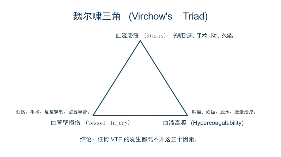 vte静脉血栓的预防与护理_第5页