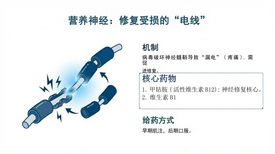 带状疱疹护理查房_第13页