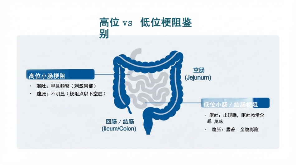 肠阻耿病人的护理_第6页