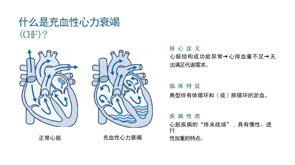 充血性心力衰竭护理查房_第3页