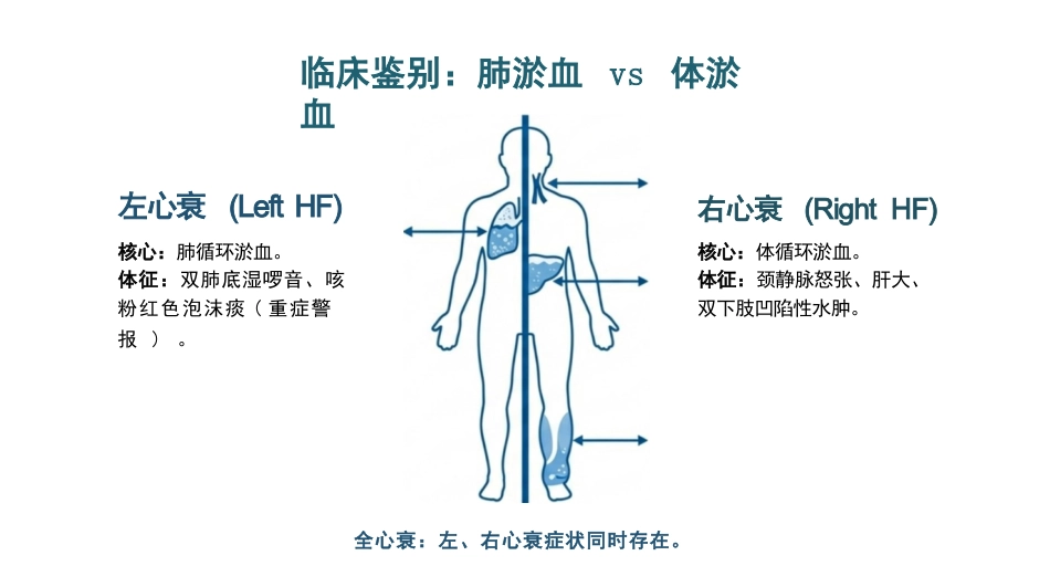 充血性心力衰竭护理查房_第7页