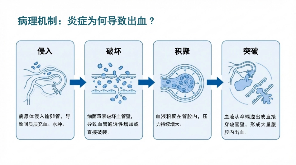 出血性输卵管炎护理查房_第9页